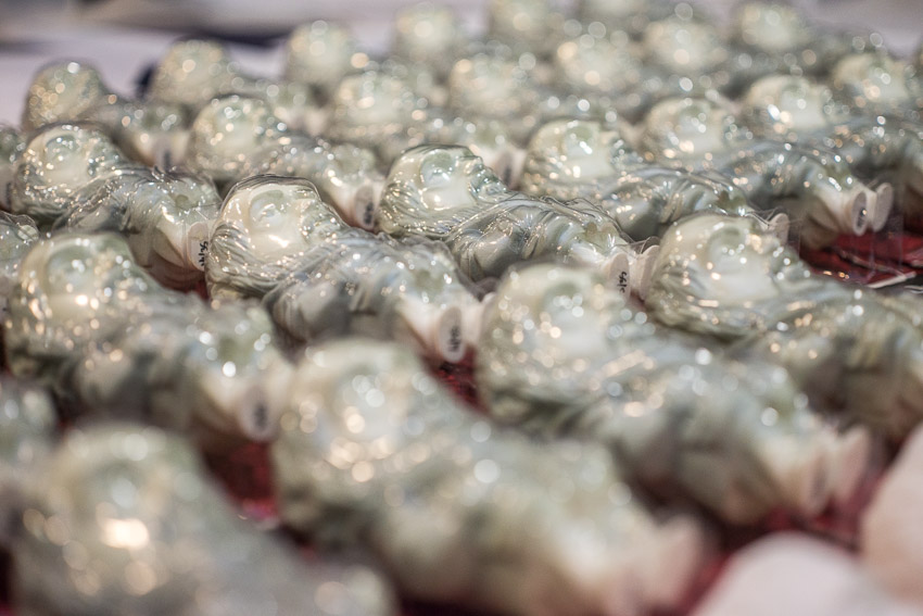 KUBREY a resin tribute, image 18 of 18