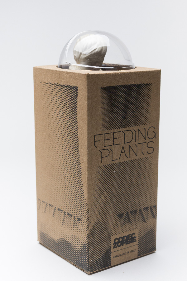 Feeding Plants, image 9 of 14